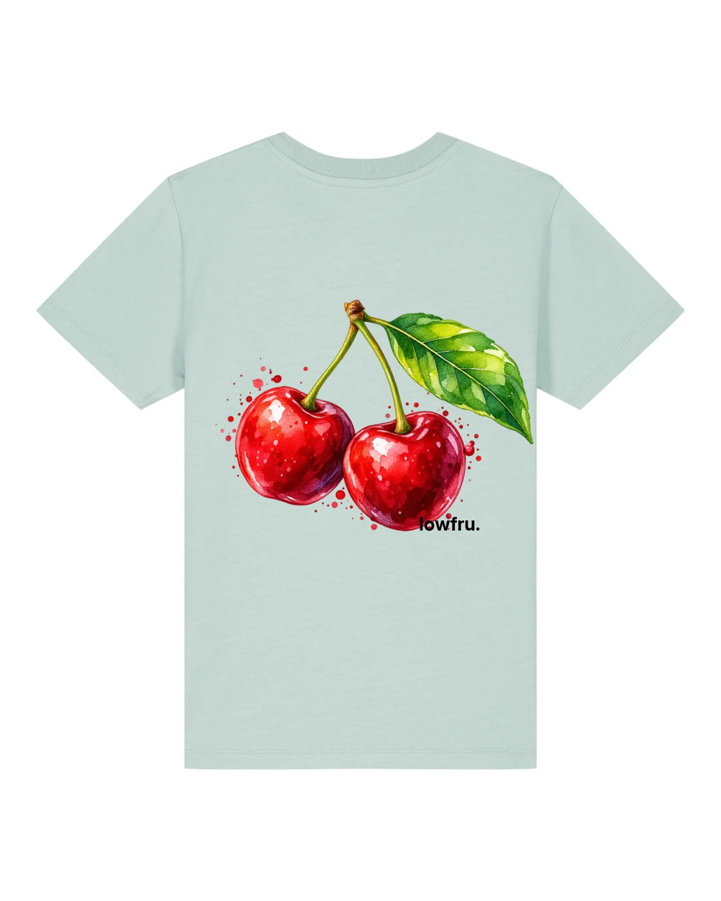 STTK184 Caribbean Back